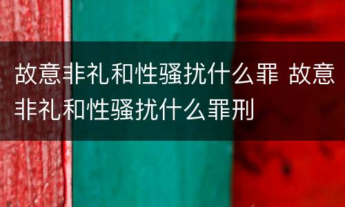 故意非礼和性骚扰什么罪 故意非礼和性骚扰什么罪刑