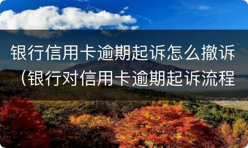 银行信用卡逾期起诉怎么撤诉（银行对信用卡逾期起诉流程）