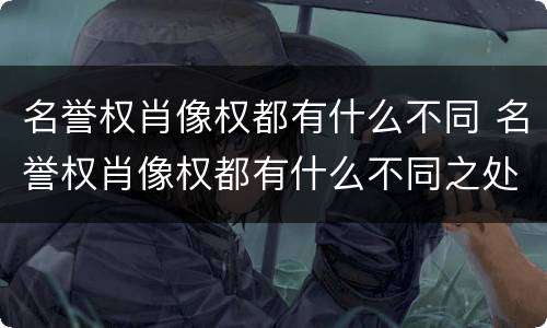 名誉权肖像权都有什么不同 名誉权肖像权都有什么不同之处
