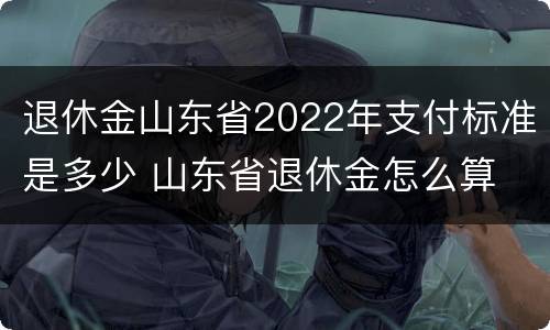 退休金山东省2022年支付标准是多少 山东省退休金怎么算
