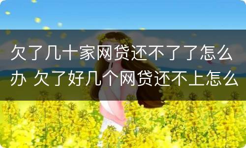 欠了几十家网贷还不了了怎么办 欠了好几个网贷还不上怎么办