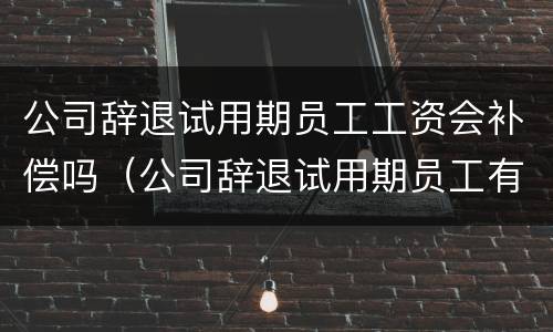 公司辞退试用期员工工资会补偿吗（公司辞退试用期员工有补偿吗）