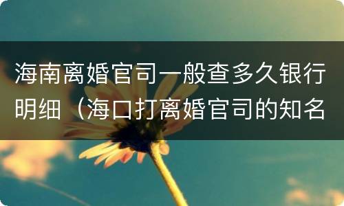 海南离婚官司一般查多久银行明细（海口打离婚官司的知名律师）