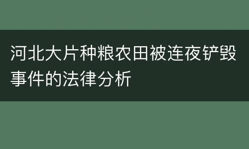 河北大片种粮农田被连夜铲毁事件的法律分析