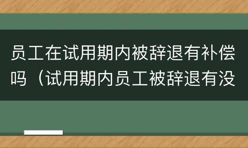 员工在试用期内被辞退有补偿吗（试用期内员工被辞退有没有补偿）