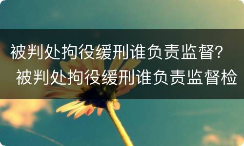 被判处拘役缓刑谁负责监督？ 被判处拘役缓刑谁负责监督检查