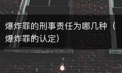 爆炸罪的刑事责任为哪几种（爆炸罪的认定）