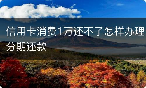 信用卡消费1万还不了怎样办理分期还款