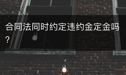 合同法同时约定违约金定金吗?