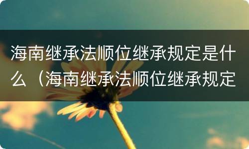 海南继承法顺位继承规定是什么（海南继承法顺位继承规定是什么意思）