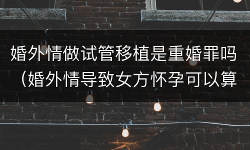 婚外情做试管移植是重婚罪吗（婚外情导致女方怀孕可以算重婚吗）