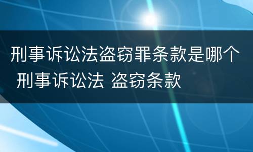 刑事诉讼法盗窃罪条款是哪个 刑事诉讼法 盗窃条款
