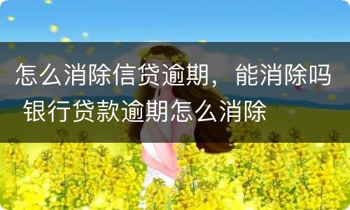 怎么消除信贷逾期，能消除吗 银行贷款逾期怎么消除