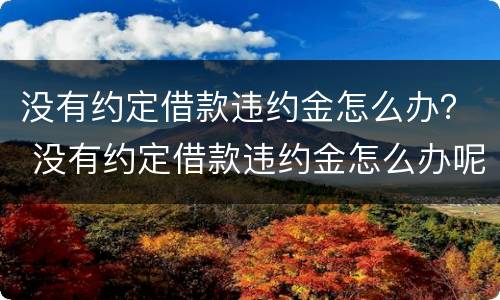 没有约定借款违约金怎么办？ 没有约定借款违约金怎么办呢