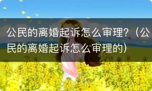 公民的离婚起诉怎么审理?（公民的离婚起诉怎么审理的）