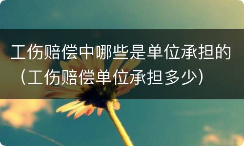 工伤赔偿中哪些是单位承担的（工伤赔偿单位承担多少）