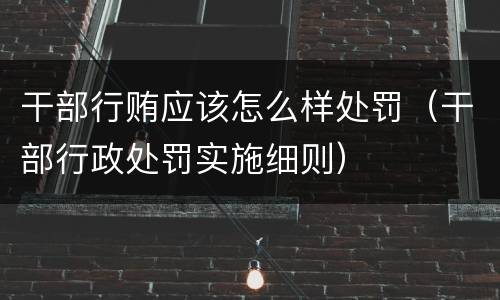 干部行贿应该怎么样处罚（干部行政处罚实施细则）