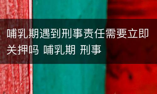 哺乳期遇到刑事责任需要立即关押吗 哺乳期 刑事