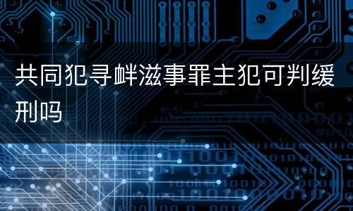 共同犯寻衅滋事罪主犯可判缓刑吗