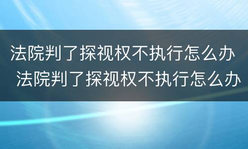 法院判了探视权不执行怎么办 法院判了探视权不执行怎么办呢