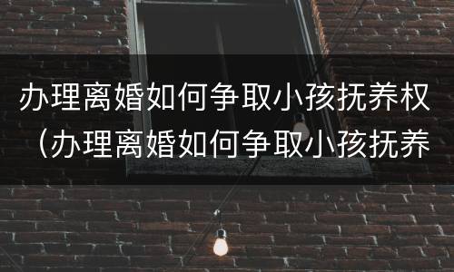 办理离婚如何争取小孩抚养权（办理离婚如何争取小孩抚养权和抚养权）