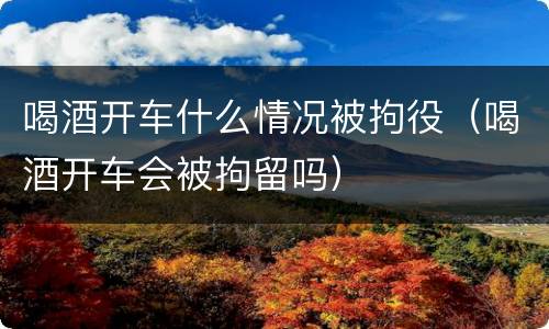 喝酒开车什么情况被拘役（喝酒开车会被拘留吗）