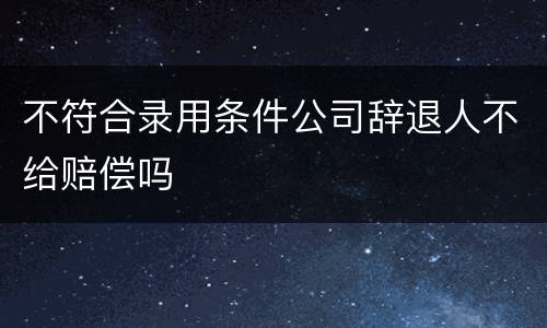 不符合录用条件公司辞退人不给赔偿吗