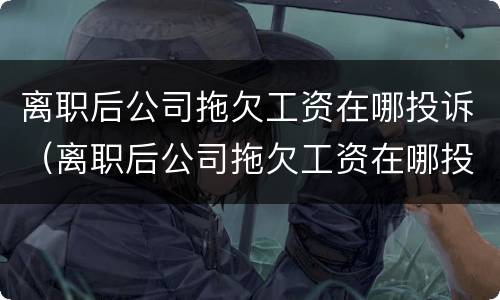 离职后公司拖欠工资在哪投诉（离职后公司拖欠工资在哪投诉最有效）