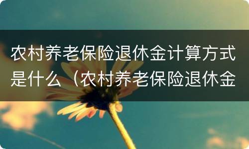 农村养老保险退休金计算方式是什么（农村养老保险退休金计算方式是什么样的）