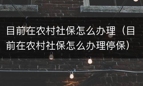 目前在农村社保怎么办理（目前在农村社保怎么办理停保）
