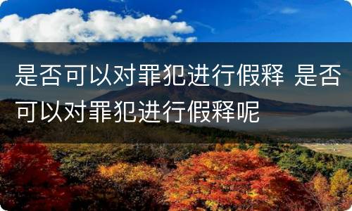 是否可以对罪犯进行假释 是否可以对罪犯进行假释呢