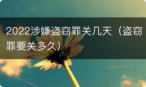 2022涉嫌盗窃罪关几天（盗窃罪要关多久）