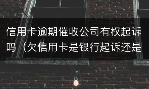 信用卡逾期催收公司有权起诉吗（欠信用卡是银行起诉还是催收公司起诉）