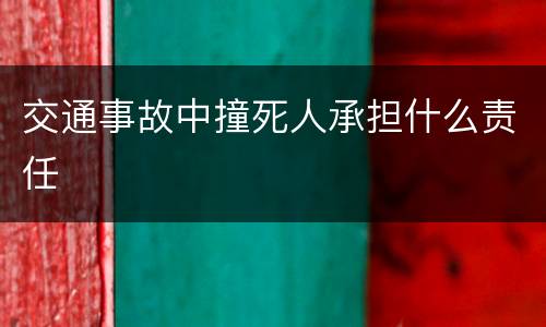 交通事故中撞死人承担什么责任