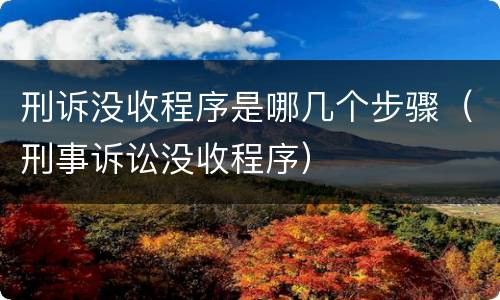 刑诉没收程序是哪几个步骤（刑事诉讼没收程序）