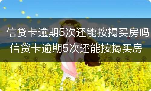 信贷卡逾期5次还能按揭买房吗 信贷卡逾期5次还能按揭买房吗
