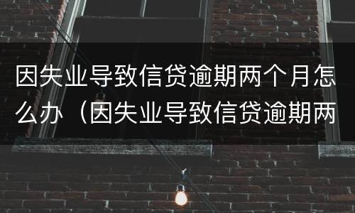 因失业导致信贷逾期两个月怎么办（因失业导致信贷逾期两个月怎么办理）