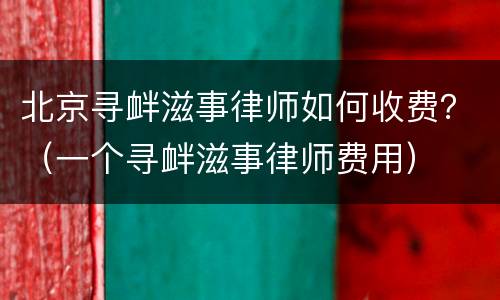 北京寻衅滋事律师如何收费？（一个寻衅滋事律师费用）