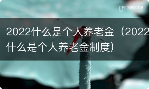 2022什么是个人养老金（2022什么是个人养老金制度）