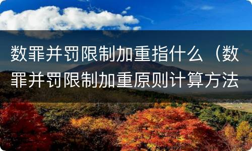数罪并罚限制加重指什么（数罪并罚限制加重原则计算方法）
