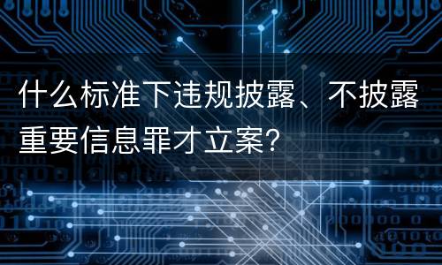 什么标准下违规披露、不披露重要信息罪才立案？