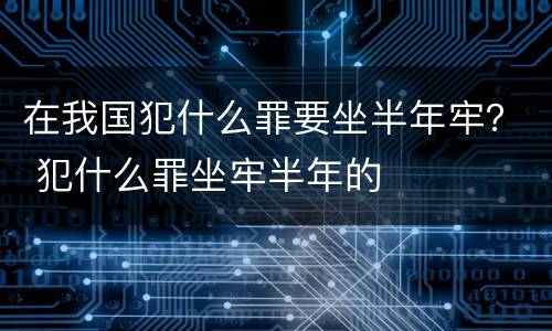 在我国犯什么罪要坐半年牢？ 犯什么罪坐牢半年的
