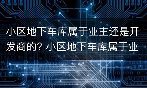 小区地下车库属于业主还是开发商的? 小区地下车库属于业主还是开发商的业主