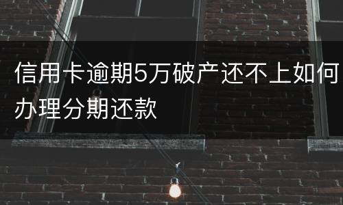 信用卡逾期5万破产还不上如何办理分期还款