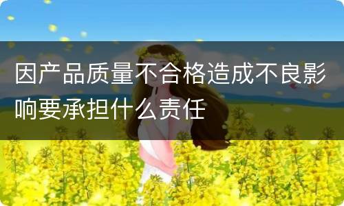 因产品质量不合格造成不良影响要承担什么责任