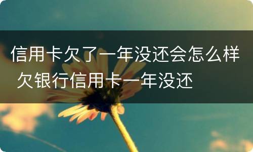 信用卡欠了一年没还会怎么样 欠银行信用卡一年没还