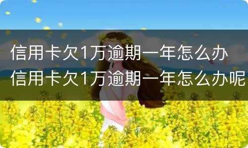 信用卡欠1万逾期一年怎么办 信用卡欠1万逾期一年怎么办呢