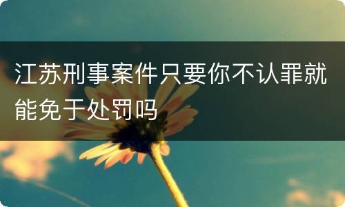 江苏刑事案件只要你不认罪就能免于处罚吗
