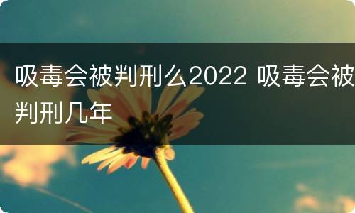 吸毒会被判刑么2022 吸毒会被判刑几年