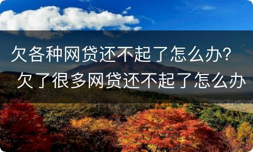 欠各种网贷还不起了怎么办？ 欠了很多网贷还不起了怎么办